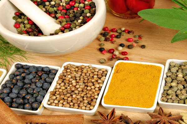 website design for exporter