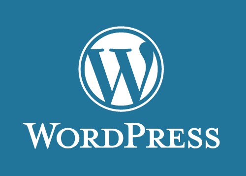 WordPress Website Design - eCommerce & Business Website